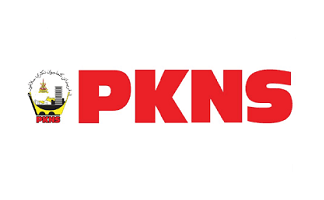 logo-pkns